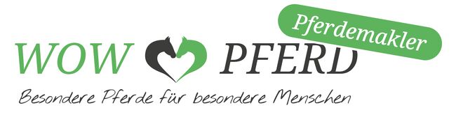 Silver Moonshine RR - American Quarter Horse, Wallach, 3.5 Jahre, Gold Champagne, WOW Pferd  (WOW Pferd), Pferd kaufen, Bayern - Attenkirchen, Abbildung 8