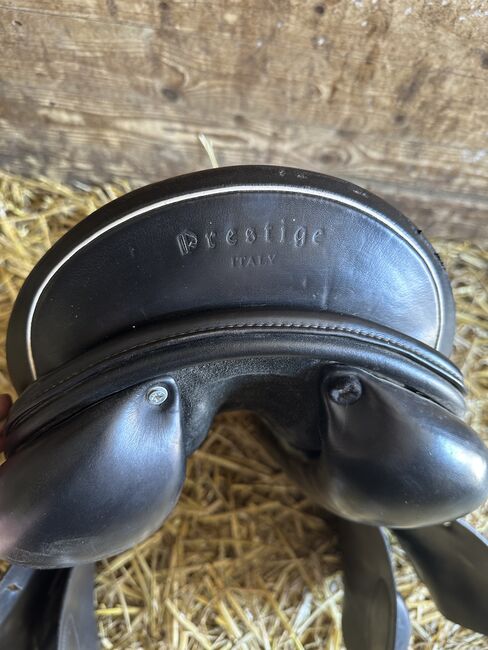 Silver Star Springsattel, Prestige  Silver Star , Cea , Jumping Saddle, Barsinghausen, Image 6