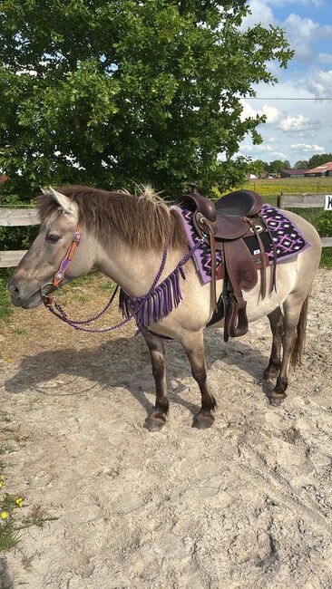 Silverado Westernsattel, Silverado Pro-Delux-baumloser Westernsattel, Michaela Düselder, Western Saddle, Moormerland, Image 6