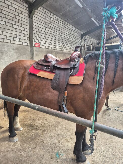 Simco westernzadel, Simco, Tess, Westernsattel, Dorst