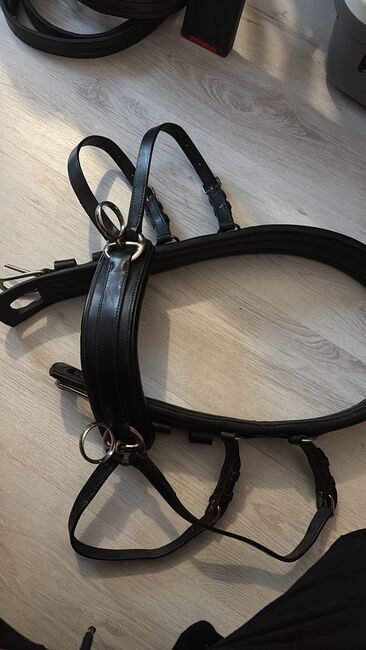 Einspännergeschirr Cob, Lea, Horse Harness, Adelebsen, Image 3