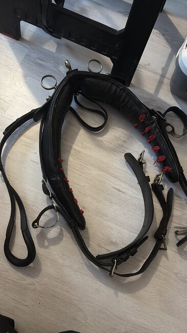 Einspännergeschirr Cob, Lea, Horse Harness, Adelebsen