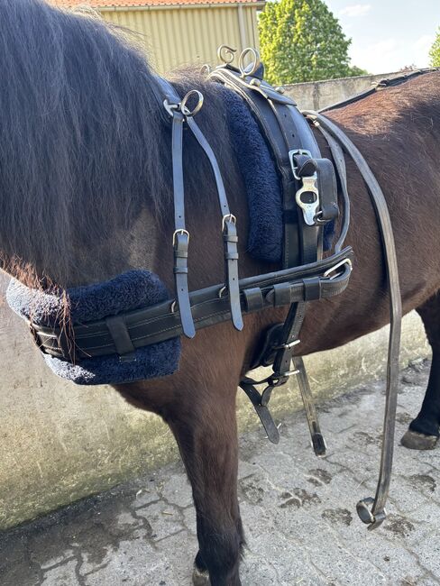 Einspännergeschirr Cob, Lea, Horse Harness, Adelebsen, Image 4