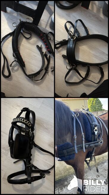 Einspännergeschirr Cob, Lea, Horse Harness, Adelebsen, Image 8
