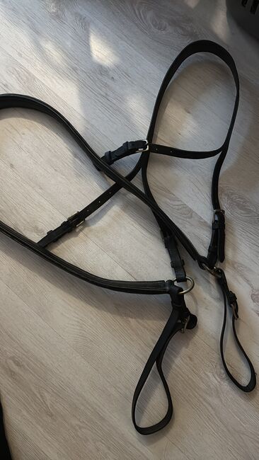 Einspännergeschirr Cob, Lea, Horse Harness, Adelebsen, Image 5