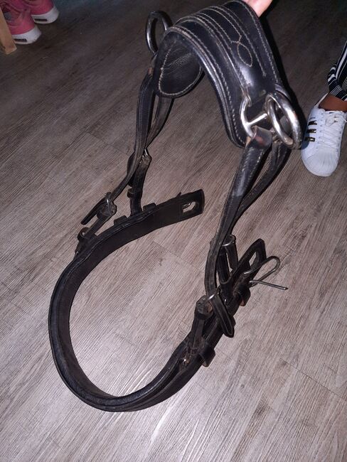 Einspänner Leder Brustblattgeschirr, Angela , Horse Harness, Neuenrade, Image 17