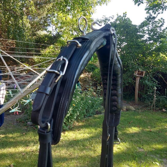 Einspännergeschirr Warmblut, Christine Tasche , Horse Harness, Falkensee, Image 5