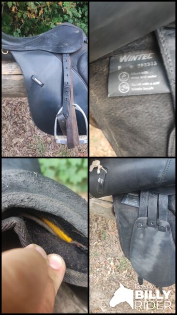 Wintec 2000 Sattel, Wintec  2000, Tillmann, Siodła wszechstronne, Remagen , Image 6