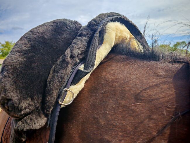 Lammfellsattel Fellsattel Premium Plus XH Warmblut, Werner Christ  Fellsattel Premium Plus XH, Lena, Inne podkładki pod siodło, Berlin, Image 4