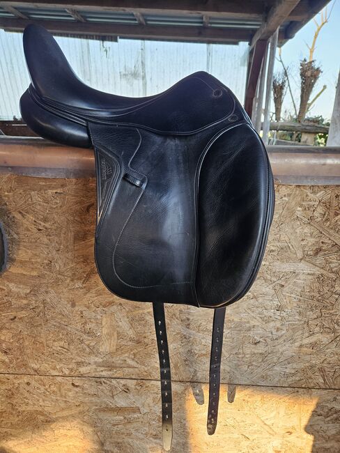 Euqiline Dressursattel Elite, Equiline Elite, Vivien , Siodła ujeżdżeniowe, Buxtehude