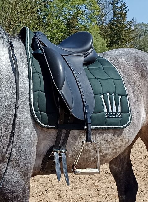 Seabis Vigo Pro Dressursattel 16,5", SeaBis Vigo Pro, Franziska Exner, Siodła ujeżdżeniowe, Muenchen