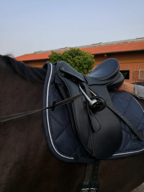 Sattel Dressursattel Stübben Maestoso de Luxe kaum genutzt, Stübben Stübben Maestose de Luxe, Danny, Siodła ujeżdżeniowe, Münster