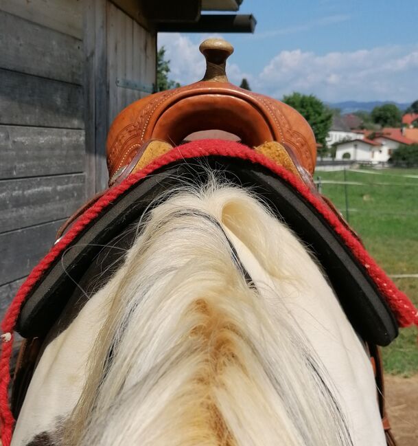 Westernsattel Double C Saddlery, Double C Saddlery Deuber 7071 DBL/3/16, Sarah, Siodło westernowe , Wolfsberg, Image 16