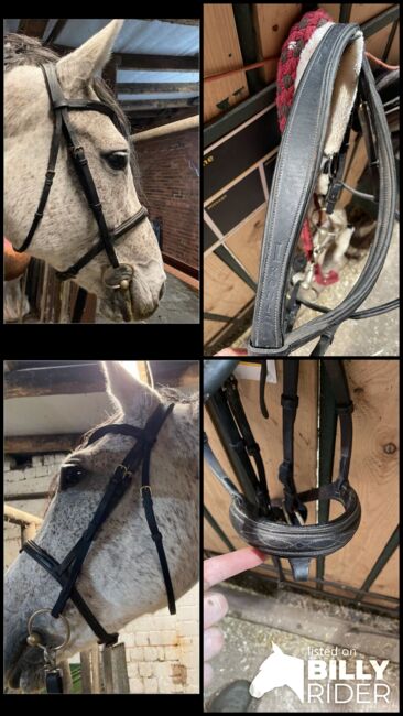 Ikonic Trense Schwarz WB, Ikonic, Christina Michalski , Bridles & Headstalls, Neuenkirchen, Image 9