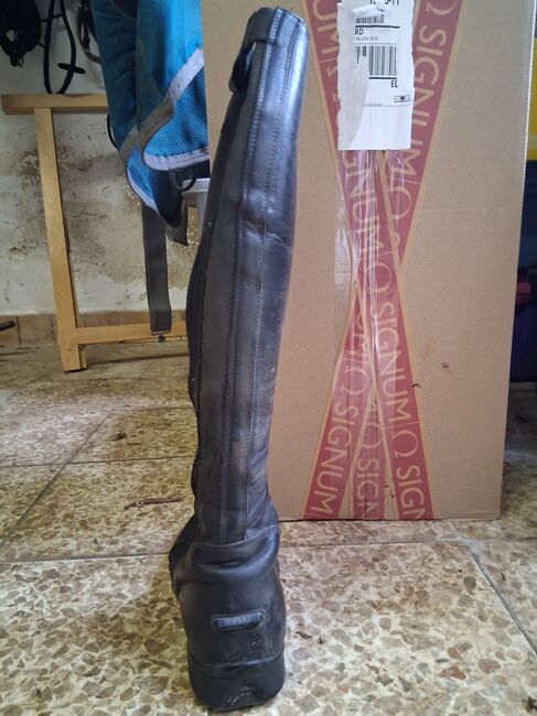 Ledereitstiefel Felix Bühler, Felix Bühler , Martina Mueller , Sztyblety jeździeckie, Bersteland, Image 4