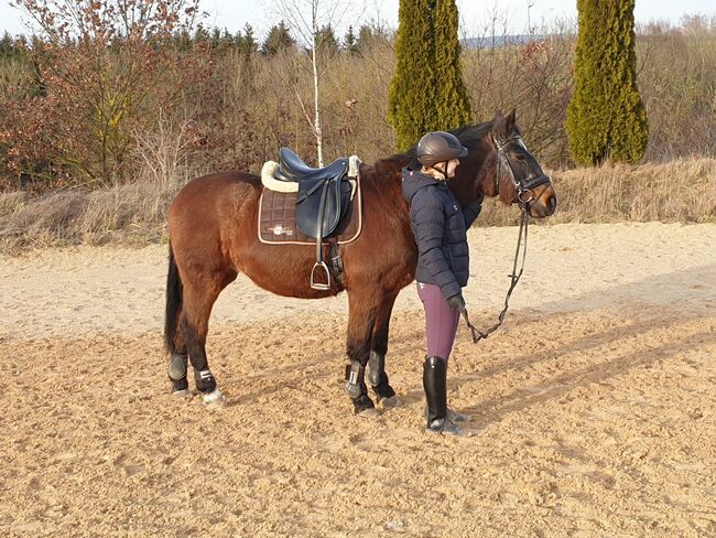 Leder Stiefelschäfte/Chaps 45/38, Leonie Ertl, Czapsy i sztylpy, Amberg, Image 5