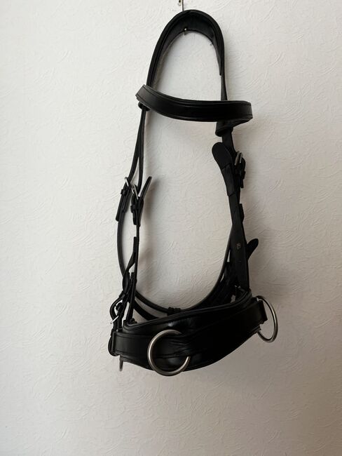 Kappzaum aus Leder/Warmblut, Kappzaum , Martina Odrostly , Lonżowanie, Bottrop