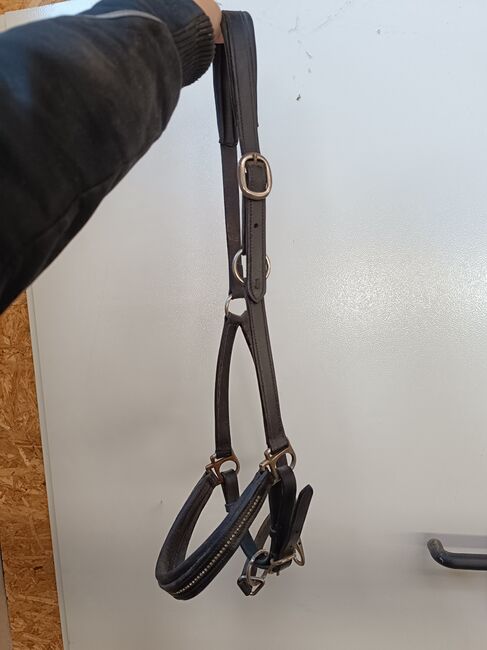 Lederhalfter COB schwarz, Manuela , Kantary, Kirchdorf