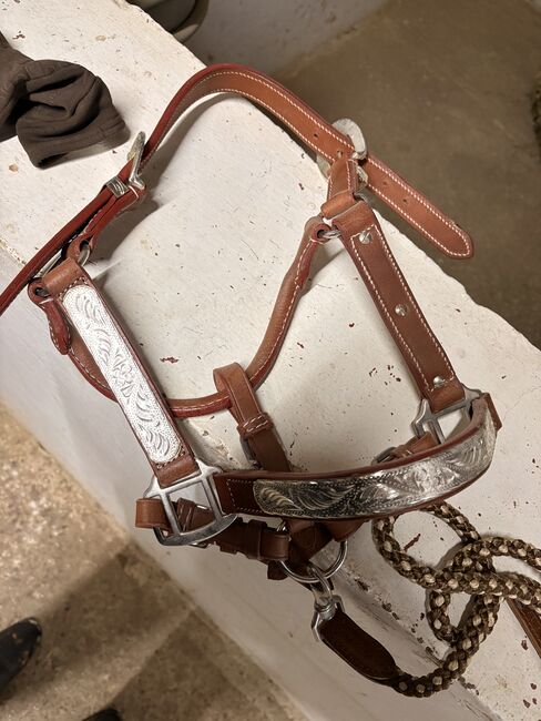 Showhalfter Leder Pony - nagelneu unbenutzt, Stella , Kantary, Falkenberg