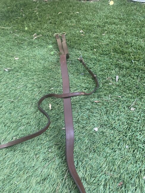 Leather martingale, Elena, Pomocnicze wodze, Alfas del Pi