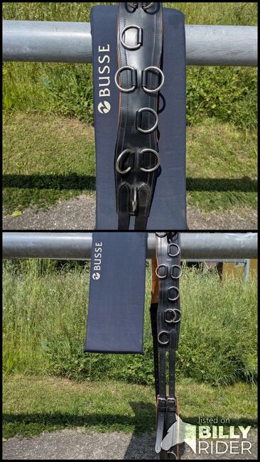Longiergurt aus Leder, Busse, Karin Gasser , Lonżowanie, Rappersdorf, Image 3