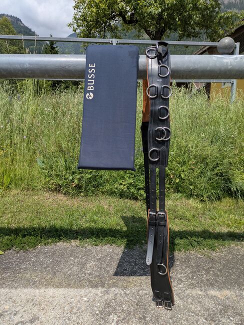 Longiergurt aus Leder, Busse, Karin Gasser , Lonżowanie, Rappersdorf, Image 2