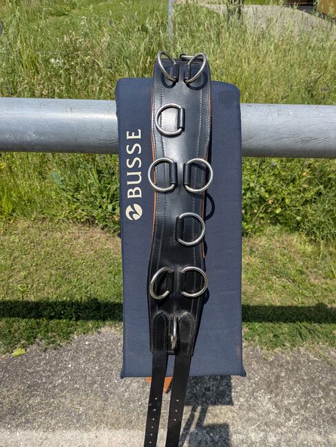 Longiergurt aus Leder, Busse, Karin Gasser , Lonżowanie, Rappersdorf