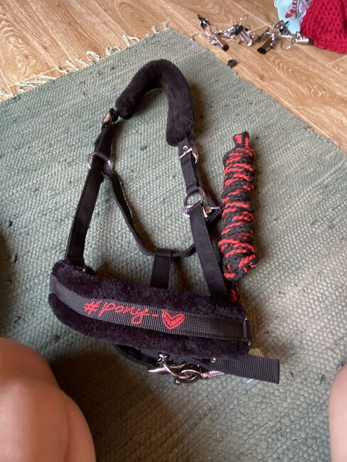 Schabrackenset, USG  Ponylove , Stephanie , Dressage Pads, Graz , Image 4
