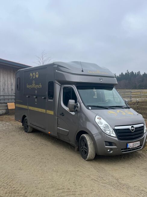 Pferdetransporter Opel Paragan, Opel Paragan , Manuela Hoell, Przyczepa konna, Lamprechtshausen 