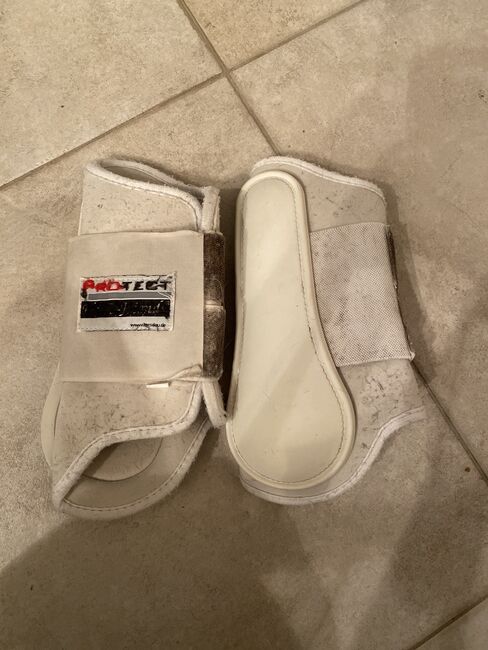 Protect Gamaschen, Loesdau , S.BE, Tendon Boots, Köln