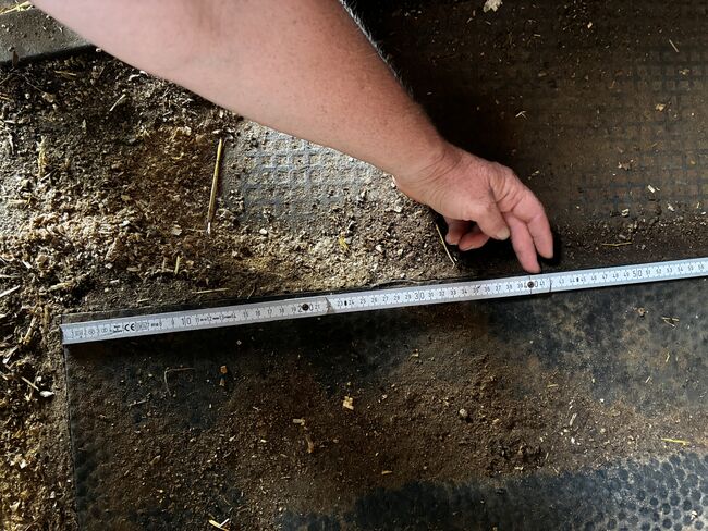 Hit Pferdebett, Hit Pferdebett von Hit, Barbara Schlor, Horse & Stable Mats, Rohrdorf, Image 7