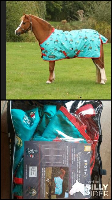 Matschdecke/ Weidedecke, Hy-Equestrian Thellwell Kollektion , Karo Weik, Horse Blankets, Sheets & Coolers, Wildberg , Image 3