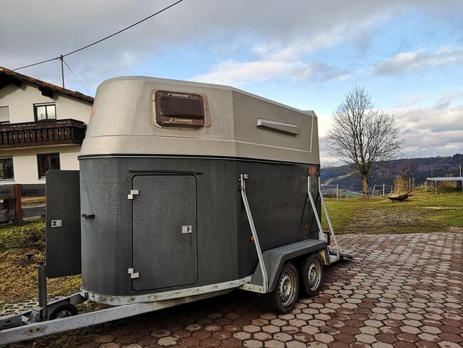 Sluis Montana Vollpoly Pferdeanhänger TÜV Neu, SLUIS Mondrian, Sabine Maurus, Horse Trailers, Obergünzburg, Image 11