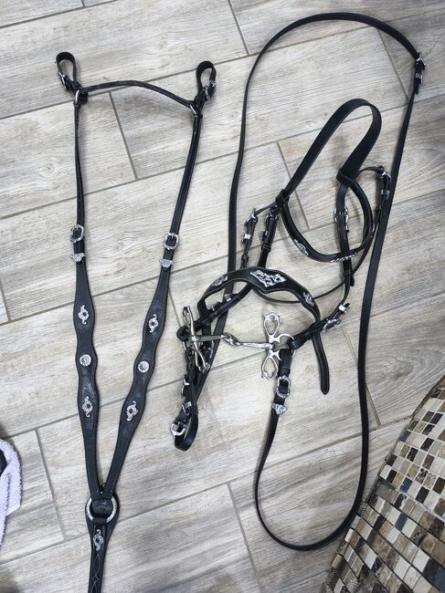 Trense mit Vorderzeug, Katja Böhm, Saddle Accessories, Pitten