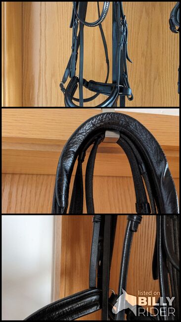 Trense - von Passier, Passier, Bettina, Bridles & Headstalls, Bad Mergentheim, Image 4