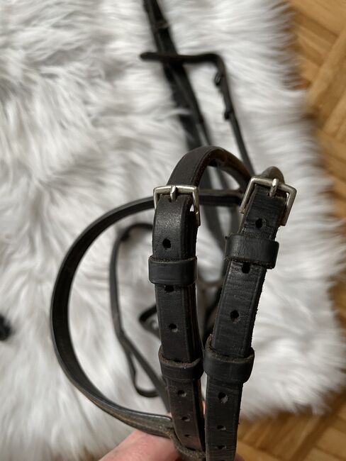 Trense VB/WB, Iris , Bridles & Headstalls, Borken/Hessen, Image 3