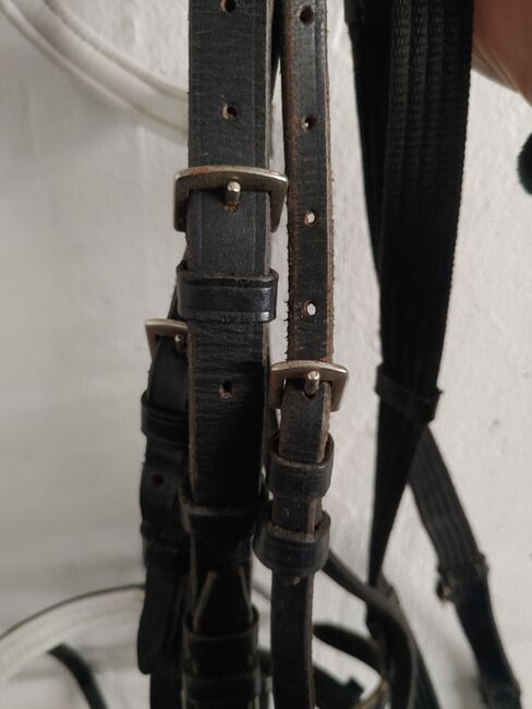 Trense für Pony, sehr gut erhalten, JuleMorino, Bridles & Headstalls, Weinsberg, Image 2