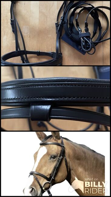 Trense WB Euroriding, neu, Euroriding  Havard, Jäckle, Bridles & Headstalls, Rielasingen-Worblingen, Image 4