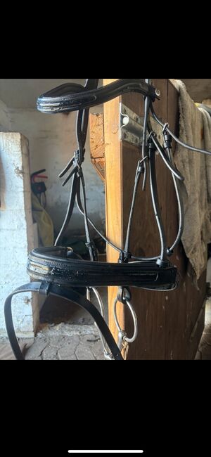 Trense XFull, Horze , Michelle Pommer , Bridles & Headstalls, Osterholz-Scharmbeck