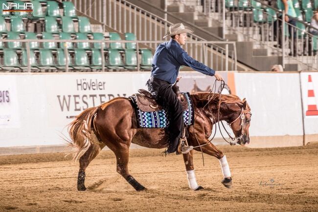 Smart Chic Olena Sohn, Kerstin Rehbehn (Pferdemarketing Ost), Horses For Sale, Nienburg