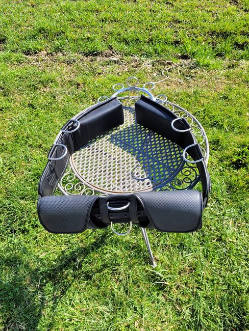 Smart Jock Longiergurt, Marion , Lunging, Bockhorn/Bayern 