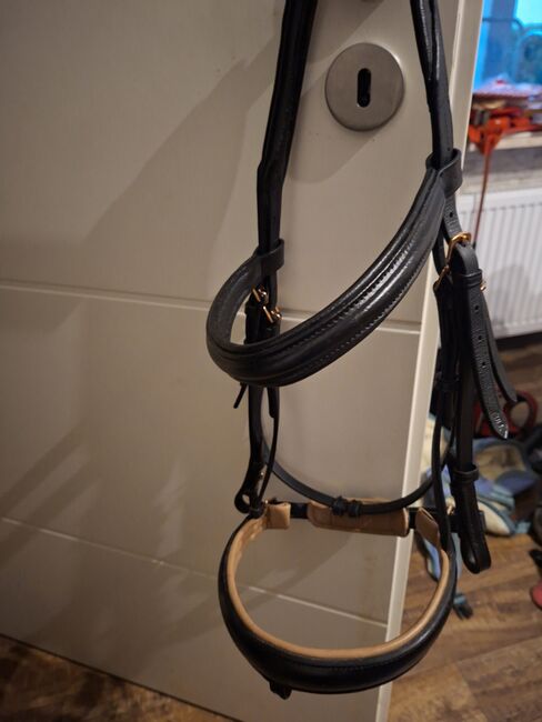 Trense in größe full, Michelle wilms , Bridles & Headstalls, Eppstein 