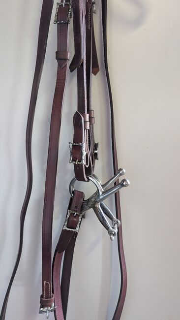 Trense , Kopfstück Handarbeit aus Portugal VB, S. B, Bridles & Headstalls, Dorsten, Image 3