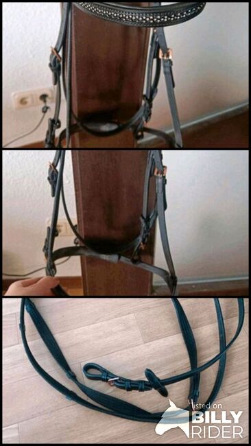 Trense Gr. VB inklusive Zügel, Elisa , Bridles & Headstalls, Rennerod , Image 4