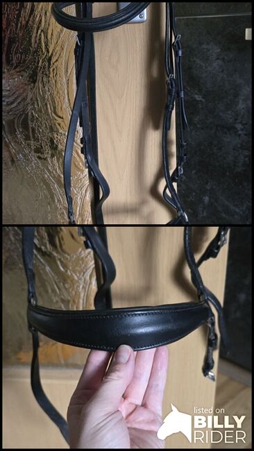 Trense mit hannoveranischen Reithalfter, BeagleLou, Bridles & Headstalls, Schneeberg, Image 3