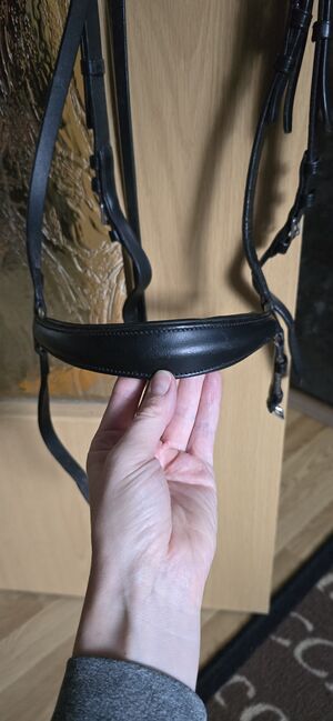 Trense mit hannoveranischen Reithalfter, BeagleLou, Bridles & Headstalls, Schneeberg, Image 2