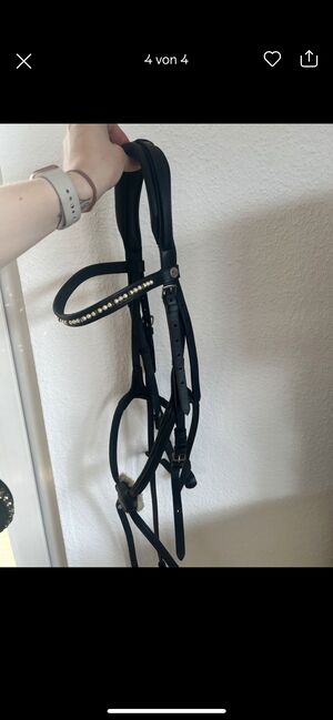 Trense Mexikanisch, Claridge House, Julie , Bridles & Headstalls, Bad Karlshafen