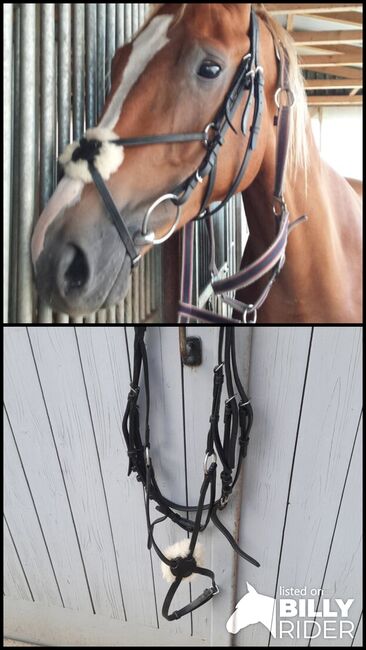 Trense Mexikanisch WB, Nane, Bridles & Headstalls, Eydelstedt, Image 3