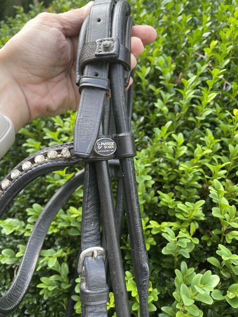 Trense Passier rundgenäht WB, Passier, Friederike , Bridles & Headstalls, Lienen, Image 3