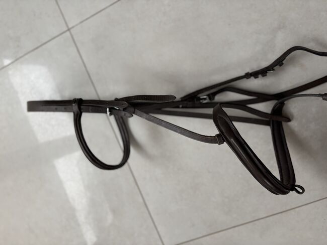 Trense Star, Star, Caro Petrovic, Bridles & Headstalls, Langenzenn , Image 2